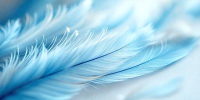 The primary subject of the image is a blue feather, which is the main object, scene, or focus of the image. The setting or background is a white surface, and the visual style is a photo. The dominant colors in the image are blue and white, creating a calm and serene atmosphere.