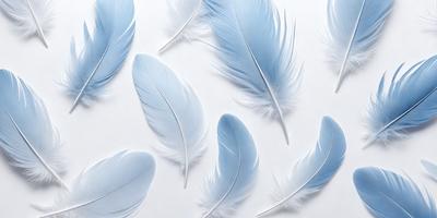 The primary subject of the image is a collection of white feathers, which are arranged in a visually appealing manner. The feathers are spread across a white background, creating a sense of depth and contrast. The visual style of the image is a combination of photo and digital art, as the feathers appear to be realistic yet have a slightly manipulated appearance. The colors and mood of the image are predominantly white, giving it a clean and serene atmosphere.