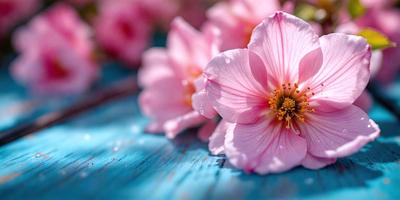 The primary subject of the image is a bouquet of pink flowers. The flowers are arranged on a blue surface, which could be a table or a piece of artwork. The setting appears to be a studio or a workspace, as the flowers are carefully placed and displayed. The visual style of the image is a close-up of the flowers, showcasing their beauty and details. The colors and mood of the image are predominantly pink, creating a warm and inviting atmosphere.