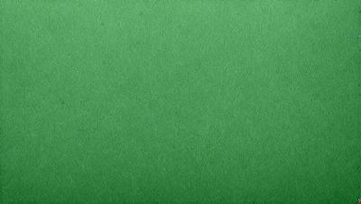 The primary subject of the image is a large, green, textured surface. The setting is a green background, which creates a vibrant and lively atmosphere. The visual style is a close-up of the green surface, showcasing its texture and color. The colors and mood of the image are predominantly green, giving it a fresh and natural feel.