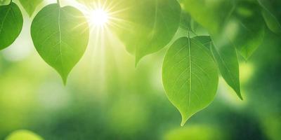 The primary subject of the image is a leaf, which is the main object, scene, or focus of the image. The leaf is green and is situated in a bright green environment, which is the setting or background of the image. The visual style of the image is a photo, as it captures the leaf in its natural surroundings. The colors and mood of the image are predominantly green, creating a serene and natural atmosphere.