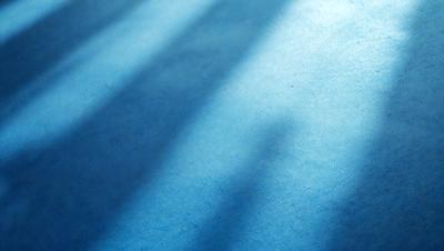 The primary subject of the image is a blue carpet with a shadow cast on it. The setting is a room with a blue carpet, and the visual style is a photo. The dominant colors are blue and white, creating a calm and serene atmosphere.