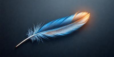 The primary subject of the image is a blue and orange feather. The setting is a black background, which provides a contrasting and dramatic effect. The visual style is a close-up of the feather, showcasing its details and colors. The dominant colors are blue and orange, creating a vibrant and eye-catching mood.