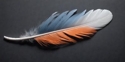 The primary subject of the image is a bird feather, which is the main object in the scene. The feather is placed on a black surface, which serves as the background. The visual style of the image is a close-up of the feather, showcasing its details. The dominant colors in the image are black and orange, creating a contrasting and visually striking appearance.