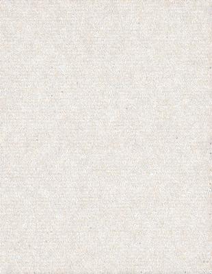 The primary subject of the image is a white wall with a patterned texture. The setting is a room with a white wall, and the visual style is a close-up of the wall. The colors and mood of the image are predominantly white, giving it a clean and minimalist appearance.
