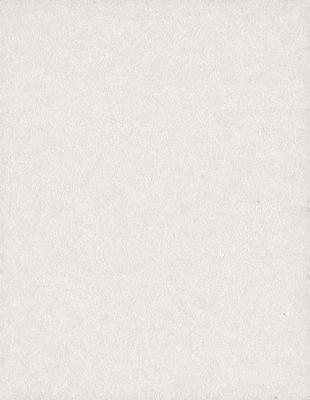 The primary subject of the image is a white wall. The setting is a room with a white wall, and the visual style is a photo. The colors and mood of the image are predominantly white, creating a clean and minimalist atmosphere.