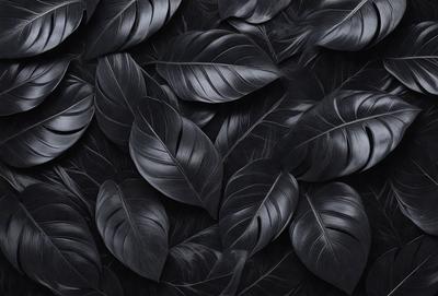 The primary subject of the image is a close-up of a large black leaf. The setting is a black background, which creates a striking contrast with the leaf. The visual style is a close-up, which emphasizes the details of the leaf. The colors and mood of the image are predominantly black, giving it a dramatic and moody atmosphere.