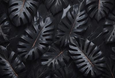 The primary subject of the image is a close-up of a large, dark green leaf. The leaf is the main focus of the image, and it is set against a black background. The visual style of the image is a close-up, which emphasizes the details of the leaf. The colors in the image are predominantly dark green, which gives the image a moody and dramatic atmosphere.