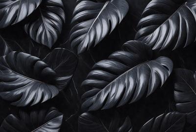 The primary subject of the image is a close-up of a large black leaf. The setting is a black background, which creates a striking contrast with the leaf. The visual style is a black and white photo, giving the image a classic and timeless appearance. The dominant colors are black and white, and the overall atmosphere is dramatic and artistic.