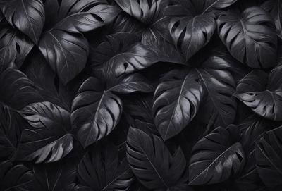The primary subject of the image is a close-up of a large, dark green leaf. The leaf is the main focus of the image, and it is set against a black background. The visual style of the image is a close-up, which emphasizes the details of the leaf. The colors in the image are predominantly dark green, creating a moody and dramatic atmosphere.