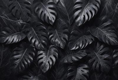 The primary subject of the image is a large group of dark green leaves, which are arranged in a dense pattern. The leaves are the main focus of the image, and they are set against a black background. The visual style of the image is a close-up of the leaves, creating a sense of depth and detail. The overall atmosphere of the image is dark and moody, with the black background and the dense arrangement of the leaves creating a sense of mystery and intrigue.