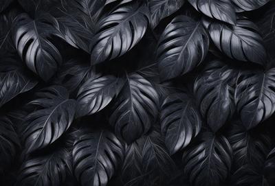 The primary subject of the image is a close-up of a large black leaf. The setting is a black background, which creates a striking contrast with the leaf. The visual style is a black and white photo, giving the image a classic and timeless appearance. The dominant colors are black and white, and the overall atmosphere is elegant and sophisticated.