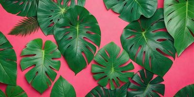 The image features a large group of green leaves arranged on a pink background. The leaves are of various sizes and shapes, creating a visually appealing and lively scene. The primary subject of the image is the green leaves, which are the main focus and the primary subject of the image. The setting is a pink background, which adds a contrasting and vibrant touch to the scene. The visual style of the image is a combination of photo and digital art, as it captures the natural beauty of the leaves while also show