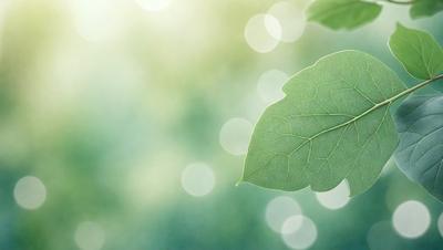 The primary subject of the image is a leaf, which is the main object, scene, or focus of the image. The leaf is situated in a green environment, surrounded by a lush green background. The visual style of the image is a photo, capturing the leaf in its natural setting. The colors and mood of the image are predominantly green, creating a serene and natural atmosphere.