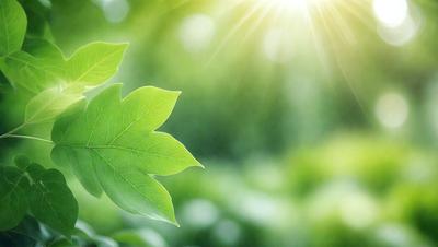 The primary subject of the image is a leaf, which is the main object, scene, or focus of the image. The leaf is green and is situated in a lush green environment, which serves as the setting or background. The visual style of the image is a photo, capturing the leaf in its natural surroundings. The colors and mood of the image are predominantly green, creating a serene and natural atmosphere.