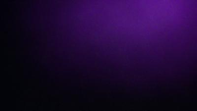 Purple wall, purple background, purple setting, purple visual style, purple colors and mood.