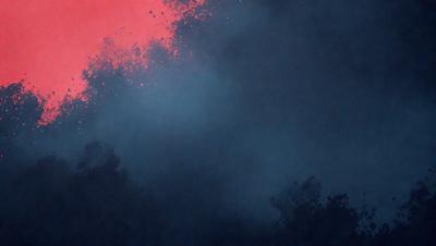 The primary subject of the image is a blue sky with a red background. The setting is a forest, and the visual style appears to be a digital art or illustration. The dominant colors are blue and red, creating a vibrant and lively atmosphere.