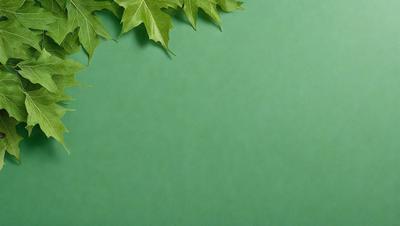 The primary subject of the image is a green background with a leafy plant on top of it. The setting is a green surface, possibly a wall or a table, with the leafy plant as the main focus. The visual style appears to be a photo, as it captures the natural details of the plant. The colors and mood of the image are predominantly green, creating a calm and natural atmosphere.
