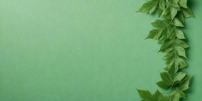 The primary subject of the image is a green background with a leaf pattern. The setting is a green wall, and the visual style is a patterned background. The colors and mood of the image are predominantly green, creating a calm and serene atmosphere.