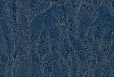The primary subject of the image is a blue and white patterned wallpaper. The setting is a room with a blue background, and the visual style is a patterned design. The dominant colors are blue and white, creating a calm and soothing atmosphere.