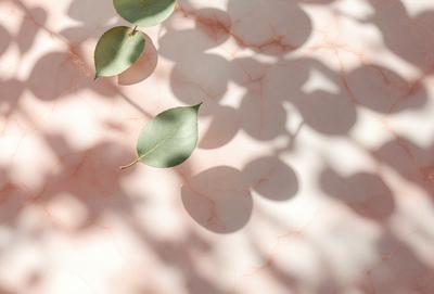 The primary subject of the image is a leaf, which is hanging from a stem. The leaf is casting a shadow on a pink surface, which appears to be a marble or stone wall. The visual style of the image is a photo, capturing the natural beauty of the leaf and its shadow. The colors in the image are predominantly pink, which gives the scene a warm and inviting atmosphere.