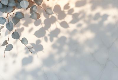 The primary subject of the image is a leafy plant with green leaves, which is placed on a white wall. The setting is a white wall, and the visual style is a photo. The colors and mood of the image are predominantly white, with the green leaves adding a touch of color and a natural, calming atmosphere.
