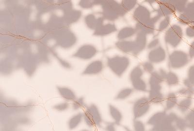 The primary subject of the image is a leafy plant with a shadow cast on a wall. The setting is a room with a wall that has a patterned surface. The visual style is a photo, and the colors and mood are predominantly green and natural, with a sense of tranquility.