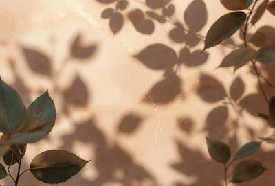 The primary subject of the image is a leaf, which is the main object, scene, or focus of the image. The leaf is placed on a surface, which appears to be a wall or a table. The visual style of the image is a photo, as it captures the leaf in its natural environment. The colors and mood of the image are predominantly green, which is the color of the leaf, and the overall atmosphere is calm and serene.