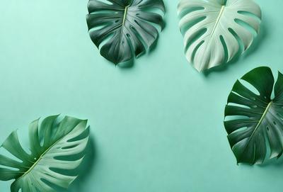 The image features a green background with a total of five large leaves arranged in a visually appealing manner. The leaves are placed in various positions, creating a sense of depth and dimension. The leaves are large and have a prominent presence in the scene, making them the primary subject. The setting appears to be a studio or a controlled environment, as the leaves are carefully positioned and arranged. The visual style of the image is a combination of photo and digital art, as the leaves are realistic and well-defined, while the overall composition and