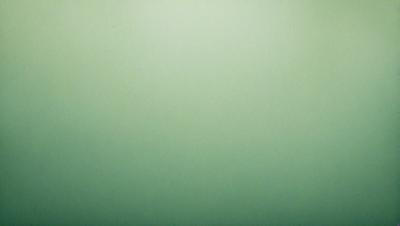The primary subject of the image is a large, empty, and dark green space. The setting is a vast, open area with no visible objects or landmarks. The visual style of the image is a close-up of the green background, which gives a sense of depth and perspective. The colors and mood of the image are predominantly dark and moody, with the green background creating a sense of calmness and tranquility.