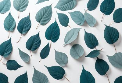 The primary subject of the image is a collection of green leaves, which are arranged in various shapes and sizes. The leaves are displayed on a white wall, creating a visually appealing and harmonious pattern. The visual style of the image is a combination of photo and digital art, as the leaves are carefully arranged and positioned to create a cohesive and aesthetically pleasing display. The dominant colors in the image are green, which is the color of the leaves, and white, which serves as the background color. The