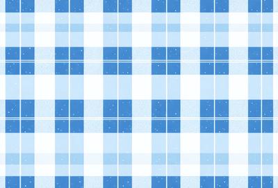 The primary subject of the image is a blue and white checkered pattern. The setting is a blue and white checkered surface, which could be a wallpaper, fabric, or a patterned background. The visual style is a pattern, and the dominant colors are blue and white. The overall atmosphere of the image is calm and visually appealing.