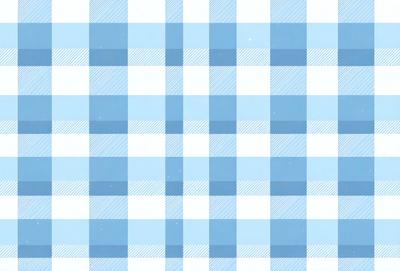 The primary subject of the image is a blue and white checkered pattern. The setting is a blue and white checkered surface, which could be a tablecloth, a wallpaper, or a fabric. The visual style is a pattern, and the dominant colors are blue and white. The overall atmosphere is calm and visually appealing.