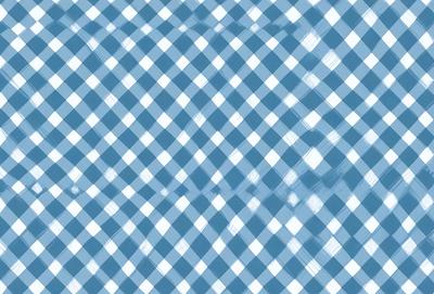 The primary subject of the image is a blue and white checkered pattern. The setting is a blue background, and the visual style appears to be a digital art or illustration. The dominant colors are blue and white, creating a calm and soothing atmosphere.