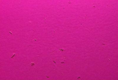 The primary subject of the image is a pink wall with a pattern of white dots. The setting is a room with a pink background. The visual style is a close-up of the wall, showcasing the pattern and texture. The colors and mood of the image are predominantly pink, creating a warm and inviting atmosphere.