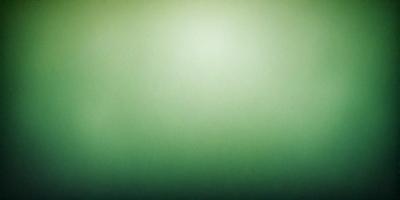 The primary subject of the image is a green wall. The setting is a room with a green wall, and the visual style is a photo. The dominant colors are green, and the overall atmosphere is calm and serene.