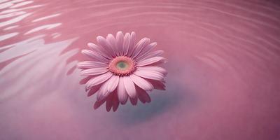 The primary subject of the image is a pink flower, which is floating on top of a pink surface. The setting appears to be a pink water surface, possibly a pink pool or a pink water feature. The visual style of the image is a close-up of the flower, emphasizing its beauty and details. The colors and mood of the image are predominantly pink, creating a serene and calming atmosphere.