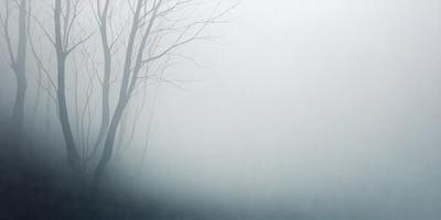 The primary subject of the image is a tree with no leaves, standing in a foggy, snowy environment. The setting is a forest with a few other trees in the background. The visual style is a painting, which gives the scene a surreal and moody atmosphere. The dominant colors are shades of blue and white, which are often associated with fog and snow.