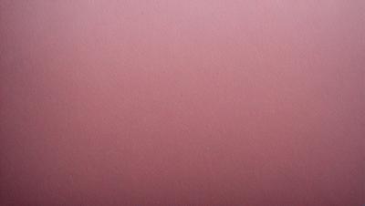 The primary subject of the image is a red surface, which appears to be a piece of leather. The setting is a close-up of the leather, showcasing its texture and color. The visual style is a real-life photograph of the leather. The dominant colors are red and brown, creating a warm and natural atmosphere.