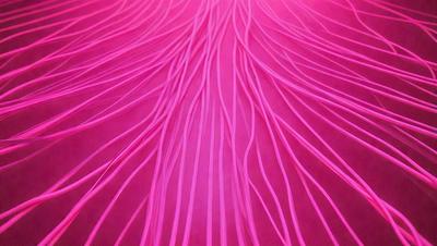 The primary subject of the image is a close-up of a pink flower with long, thin, and curly petals. The setting is a pink background, which adds to the overall mood of the image. The visual style is a combination of a photo and digital art, creating a unique and eye-catching pattern. The dominant colors are pink and purple, giving the image a warm and inviting atmosphere.