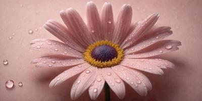 The primary subject of the image is a pink flower with a yellow center, sitting on a pink surface. The setting appears to be a close-up of the flower, showcasing its details. The visual style is a photo, capturing the beauty of the flower in its natural environment. The colors and mood of the image are predominantly pink and warm, creating a sense of freshness and vitality.