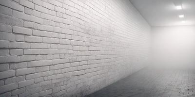 The primary subject of the image is a white brick wall. The setting is a white brick wall, and the visual style is a photo. The dominant colors are white and gray, creating a clean and minimalist atmosphere.
