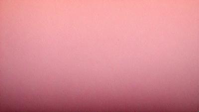 The primary subject of the image is a large, pink wall. The setting is a room with a pink background, and the visual style is a close-up of the wall. The dominant colors are pink, and the overall atmosphere is warm and inviting.