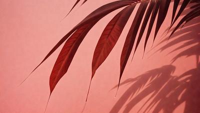 The primary subject of the image is a large palm tree with long, curved leaves. The tree is located in a pink-colored environment, which could be a wall or a background. The visual style of the image is a photo, capturing the natural beauty of the palm tree. The dominant colors in the image are pink and red, creating a warm and inviting atmosphere.