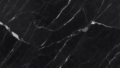The primary subject of the image is a marble countertop with a black and white pattern. The setting is a kitchen, and the visual style is a close-up of the marble countertop. The colors and mood of the image are predominantly black and white, giving it a classic and elegant appearance.