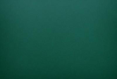 The primary subject of the image is a large, dark green surface. The setting is a dark green background, which creates a moody atmosphere. The visual style is a close-up of the green surface, which gives a sense of depth and texture. The colors and mood of the image are predominantly dark green, creating a sense of calmness and tranquility.