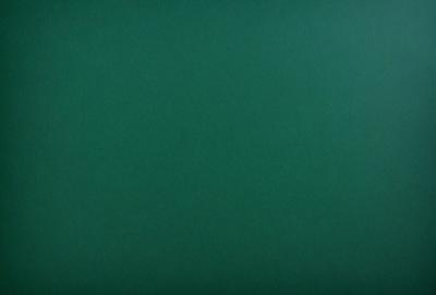 The primary subject of the image is a large, green, textured surface. The setting is a dark, green background, which creates a moody atmosphere. The visual style is a close-up of the green surface, showcasing its texture and details. The colors and mood of the image are predominantly dark and green, giving it a somewhat mysterious and enigmatic appearance.