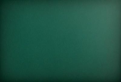 The primary subject of the image is a green background. The setting is a large, empty space with no visible objects or people. The visual style is a close-up of the green background, which appears to be a piece of cardboard. The colors and mood of the image are predominantly green, creating a calm and serene atmosphere.