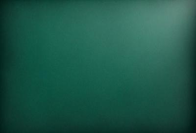 The primary subject of the image is a large, green wall. The setting is a room with a green background, which creates a calm and soothing atmosphere. The visual style is a close-up of the green wall, showcasing its texture and color. The dominant colors are green, which gives the image a serene and natural feel.