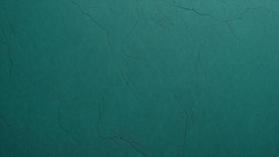 The primary subject of the image is a green background with a pattern of white lines. The setting appears to be a wall or a piece of paper with a green tint. The visual style is a close-up of the green background, which gives it a textured and slightly rough appearance. The colors and mood of the image are predominantly green, with a slightly rough texture that adds a sense of depth and intrigue to the scene.